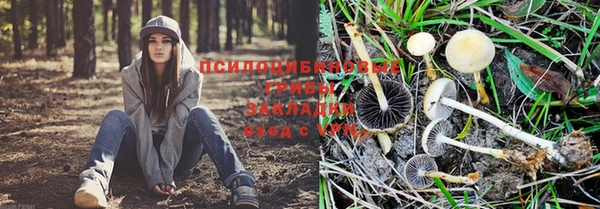 винт Абинск