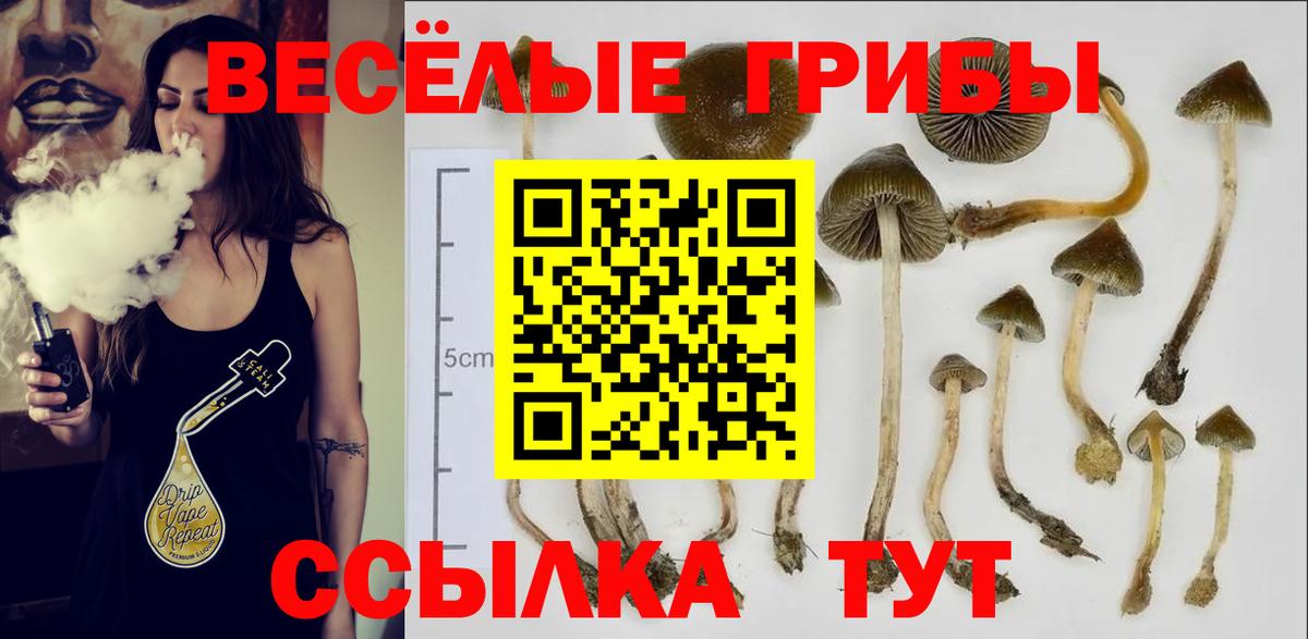 Псилоцибиновые грибы MAGIC MUSHROOMS  Вход с VPN  Югорск 